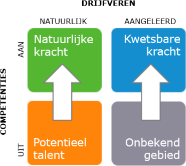 ODC meet en verbindt gedrag, competenties, drijfveren en talent | Oei voor Groei | Coach Utrecht